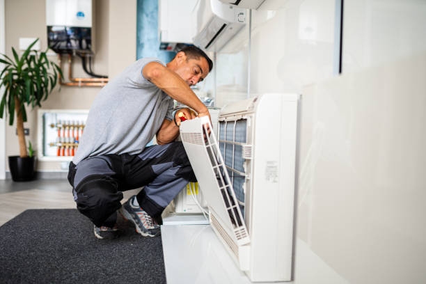 Best Air Duct Mold Removal  in Spartanburg, SC